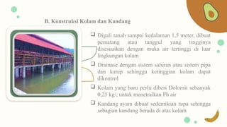 sistem pertanian terpadu (kolam lele dan kandang ayam) | PPTX