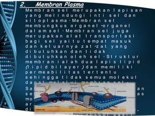 2.

Membran Plasma

Me mb r a n s e l me r u p a k a n l a p i s a n
y a n g me l i n d u n g i i n t i s e l d a n
s i t o p l a s ma . Me mb r a n s e l
m e m b u n g k u s o r g a n e l -o r g a n e l
d a l a m s e l . Me mb r a n s e l j u g a
me r u p a k a n a l a t t r a n s p o r t a s i
b a g i s e l y a i t u t e mp a t ma s u k
d a n k e l u a r n y a z a t -z a t y a n g
d i b u t u h k a n d a n t i d a k
d i b u t u h k a n o l e h s e l . St r u k t u r
me mb r a n i a l a h d u a l a p i s l i p i d
(l i p i d b i l a y e r ) d a n m e m i l i k i
p e r me a b i l i t a s t e r t e n t u
s e h i n g g a t i d a k s e mu a mo l e k u l
d a p a t me l a l u i me mb r a n s e l .
S a l a h s a t u f u n g s i d a r i me mb r a n
s e l a d a l a h s e b a g a i l a l u l i n t a s
mo l e k u l d a n i o n s e c a r a d u a
a r a h . L a l u l i n t a s me mb r a n
d i g o l o n g k a n me n j a d i d u a c a r a ,
y a i t u d e n g a n t r a n s p o r p a s i f

 