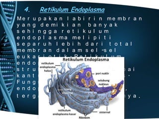 4.
Me
y a
s e
e n
s e
me
e u
e n
s t
k a
Fu
e n
t e

r u
n g
h i
d o
p a
mb
k a
d o
r u
n t
n g
d o
r g

Retikulum Endoplasma
p a k a n l a b i r i n me mb r a n
d e mi k i a n b a n y a k
n g g a r e t i k u l u m
p l a s ma me l i p i t i
r u h l e b i h d a r i t o t a l
r a n d a l a m s e l -s e l
r i o t i k . Re t i k u l u m
p l a s ma me mi l i k i
k t u r y a n g me n y e r u p a i
u n g b e r l a p i s -l a p i s .
s i r e t i k u l u m
p l a s ma b e r v a r i a s i ,
a n t u n g p a d a j e n i s n y a .

 
