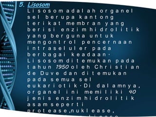 5. Lisosom
L i
s e
t e
b e
y a
me
i n
b e
L i
t a
d e
p a
e u
o r
j e
a s
p r

s o s o m a d a l a h o r g a n e l
l b e r u p a k a n t o n g
r i k a t me mb r a n y a n g
r i s i e n z i m h i d r o l i t i k
n g b e r g u n a u n t u k
n g o n t r o l p e n c e r n a a n
t r a s e l u l e r p a d a
r b a g a i k e a d a a n .
s o s o m d i t e mu k a n p a d a
h u n 1950 o l e h C h r i s t i a n
D u v e d a n d i t e mu k a n
d a s e mu a s e l
k a r i o t i k . D i d a l a mn y a ,
g a n e l i n i m e m i l i k i 40
n i s e n z i m h i d r o l i t i k
a m s e p e r t i
o t e a s e ,n u k l e a s e ,

 