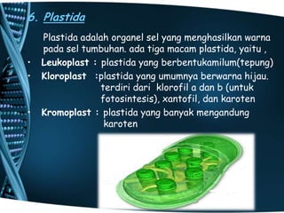6. Plastida

•
•
•

Plastida adalah organel sel yang menghasilkan warna
pada sel tumbuhan. ada tiga macam plastida, yaitu ,
Leukoplast : plastida yang berbentukamilum(tepung)
Kloroplast :plastida yang umumnya berwarna hijau.
terdiri dari klorofil a dan b (untuk
fotosintesis), xantofil, dan karoten
Kromoplast : plastida yang banyak mengandung
karoten

 