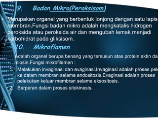 9.

Badan Mikro(Peroksisom)

• Merupakan organel yang berbentuk lonjong dengan satu lapis
membran.Fungsi badan mikro adalah mengkatalis hidrogen
peroksida atau peroksida air dan mengubah lemak menjadi
karbohidrat pada gliksisom.

– 10.

Mikroflamen

Adalah organel berupa benang yang tersusun atas protein aktin dan
miosin.Fungsi mikrofilamen :
1. Melakukan invaginasi dan evaginasi.Invaginasi adalah proses pele
ke dalam membran selama endositosis.Evaginasi adalah proses
pelekukan keluar membran selama eksositosis.
2. Berperan dalam proses sitokinesis.

 