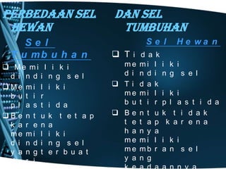 Perbedaan Sel
Hewan
Se l
T u mb u h a n
 Me mi l i k i
d i n d i n g s e l
 Me mi l i k i
b u t i r
p l a s t i d a
B e n t u k t e t a p
k a r e n a
me mi l i k i
d i n d i n g s e l
y a n g t e r b u a t
d a r i

Dan Sel
Tumbuhan
Se l

He wa n

 Ti dak
me
d i
 Ti
me
b u
 Be
t e
h a
me
me
y a

mi
n d
d a
mi
t i
n t
t a
n y
mi
mb
n g

l
i
k
l
r
u
p
a
l
r

i k i
n g s e l

i k i
p l a s t i d a
k t i d a k
k a r e n a
i k i
a n s e l

 