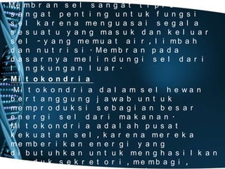 . Me mb r a n s e l s a n g a t t i p i s n a mu n
s a n g a t p e n t i n g u n t u k f u n g s i
s e l k a r e n a me n g u a s a i s e g a l a
s e s u a t u y a n g ma s u k d a n k e l u a r
s e l - y a n g me mu a t a i r , l i mb a h
d a n n u t r i s i . Me mb r a n p a d a
d a s a r n y a me l i n d u n g i s e l d a r i
l i n g k u n g a n l u a r .
 Mi t o k o n d r i a
Mi t o k o n d r i a d a l a m s e l h e w a n
b e r t a n g g u n g j a wa b u n t u k
me mp r o d u k s i s e b a g i a n b e s a r
e n e r g i s e l d a r i ma k a n a n .
Mi t o k o n d r i a a d a l a h p u s a t
k e k u a t a n s e l , k a r e n a me r e k a
me mb e r i k a n e n e r g i y a n g
d i b u t u h k a n u n t u k me n g h a s i l k a n
p r o d u k s e k r e t o r i , me mb a g i ,

 