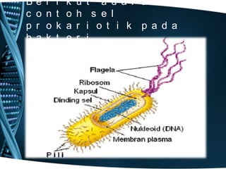 B
c
p
b

e
o
r
a

r
n
o
k

i
t
k
t

k
o
a
e

u
h
r
r

t

a d a l a h
s e l
i o t i k p a d a
i

 