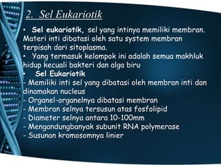 2. Sel Eukariotik
• Sel eukariotik, sel yang intinya memiliki membran.
Materi inti dibatasi oleh satu system membran
terpisah dari sitoplasma.
• Yang termasuk kelompok ini adalah semua makhluk
hidup kecuali bakteri dan alga biru
• Sel Eukariotik
- Memiliki inti sel yang dibatasi oleh membran inti dan
dinamakan nucleus
- Organel-organelnya dibatasi membran
- Membran selnya tersusun atas fosfolipid
- Diameter selnya antara 10-100mm
- Mengandungbanyak subunit RNA polymerase
- Susunan kromosomnya linier

 