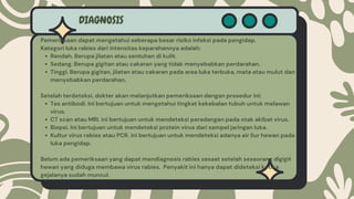 Tingkat Rabies Kel 11-Rabies-Epidemiologi Penyakit Menular.pdf