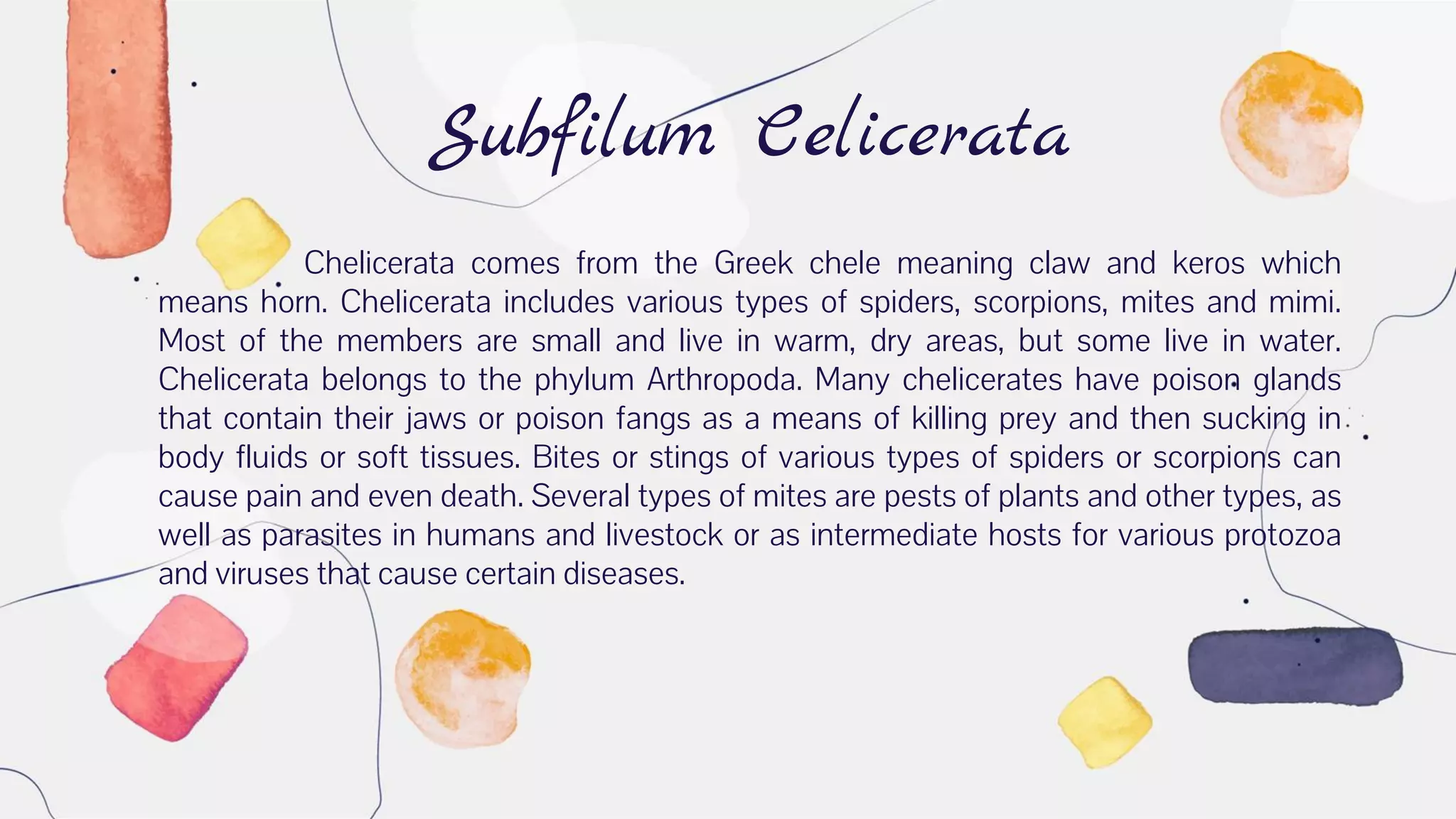 Subfilum Celicerata
Chelicerata comes from the Greek chele meaning claw and keros which
means horn. Chelicerata includes various types of spiders, scorpions, mites and mimi.
Most of the members are small and live in warm, dry areas, but some live in water.
Chelicerata belongs to the phylum Arthropoda. Many chelicerates have poison glands
that contain their jaws or poison fangs as a means of killing prey and then sucking in
body fluids or soft tissues. Bites or stings of various types of spiders or scorpions can
cause pain and even death. Several types of mites are pests of plants and other types, as
well as parasites in humans and livestock or as intermediate hosts for various protozoa
and viruses that cause certain diseases.
 