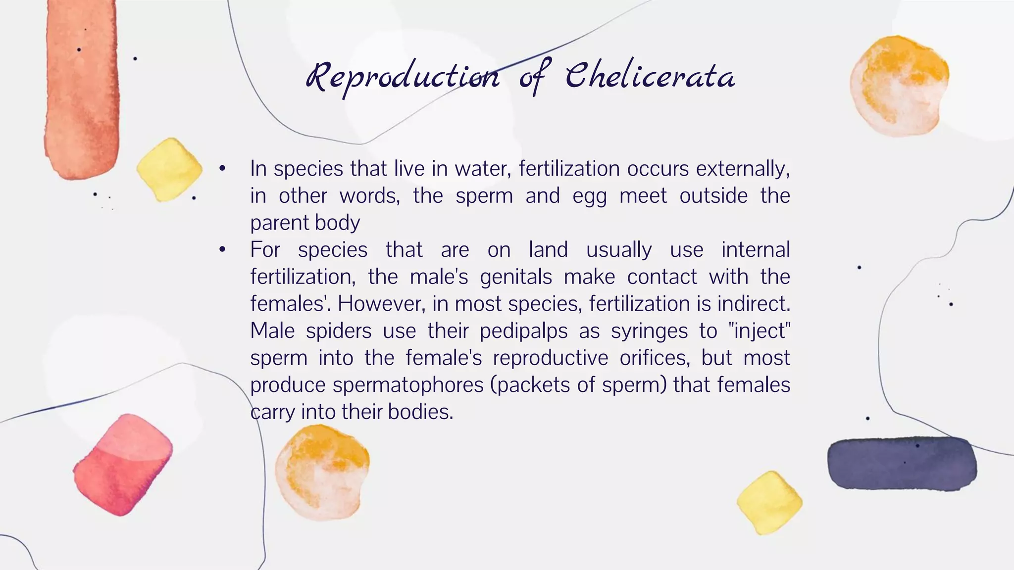Reproduction of Chelicerata
• In species that live in water, fertilization occurs externally,
in other words, the sperm and egg meet outside the
parent body
• For species that are on land usually use internal
fertilization, the male's genitals make contact with the
females'. However, in most species, fertilization is indirect.
Male spiders use their pedipalps as syringes to "inject"
sperm into the female's reproductive orifices, but most
produce spermatophores (packets of sperm) that females
carry into their bodies.
 