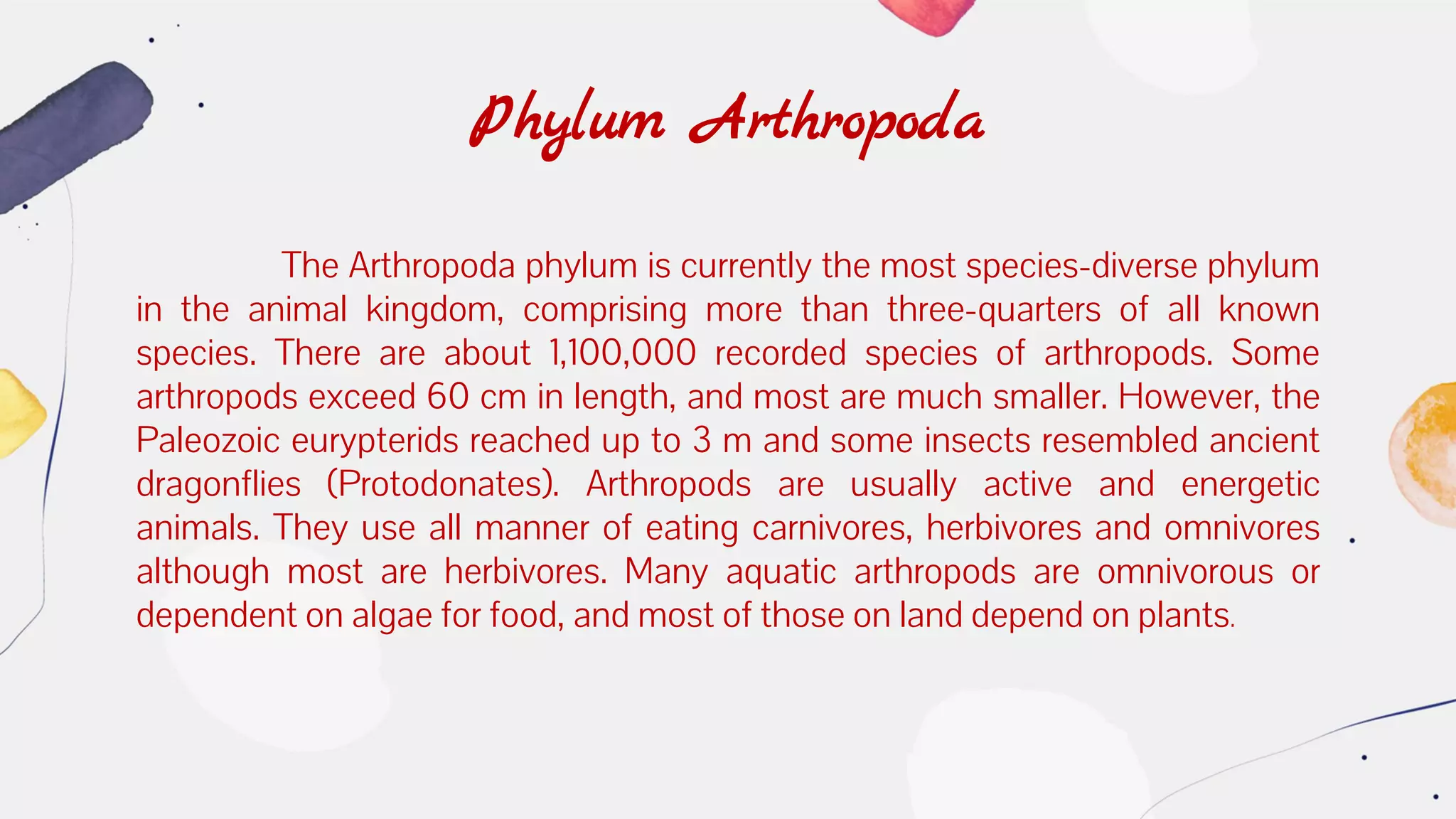 The Arthropoda phylum is currently the most species-diverse phylum
in the animal kingdom, comprising more than three-quarters of all known
species. There are about 1,100,000 recorded species of arthropods. Some
arthropods exceed 60 cm in length, and most are much smaller. However, the
Paleozoic eurypterids reached up to 3 m and some insects resembled ancient
dragonflies (Protodonates). Arthropods are usually active and energetic
animals. They use all manner of eating carnivores, herbivores and omnivores
although most are herbivores. Many aquatic arthropods are omnivorous or
dependent on algae for food, and most of those on land depend on plants.
Phylum Arthropoda
 