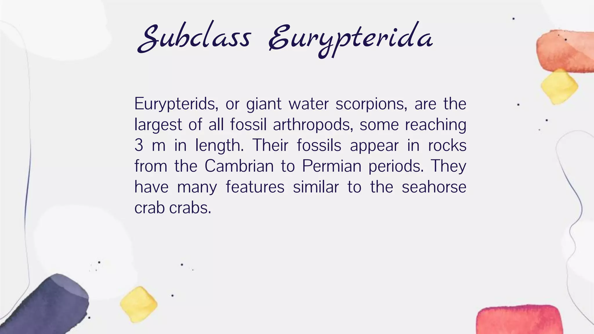 Subclass Eurypterida
Eurypterids, or giant water scorpions, are the
largest of all fossil arthropods, some reaching
3 m in length. Their fossils appear in rocks
from the Cambrian to Permian periods. They
have many features similar to the seahorse
crab crabs.
 