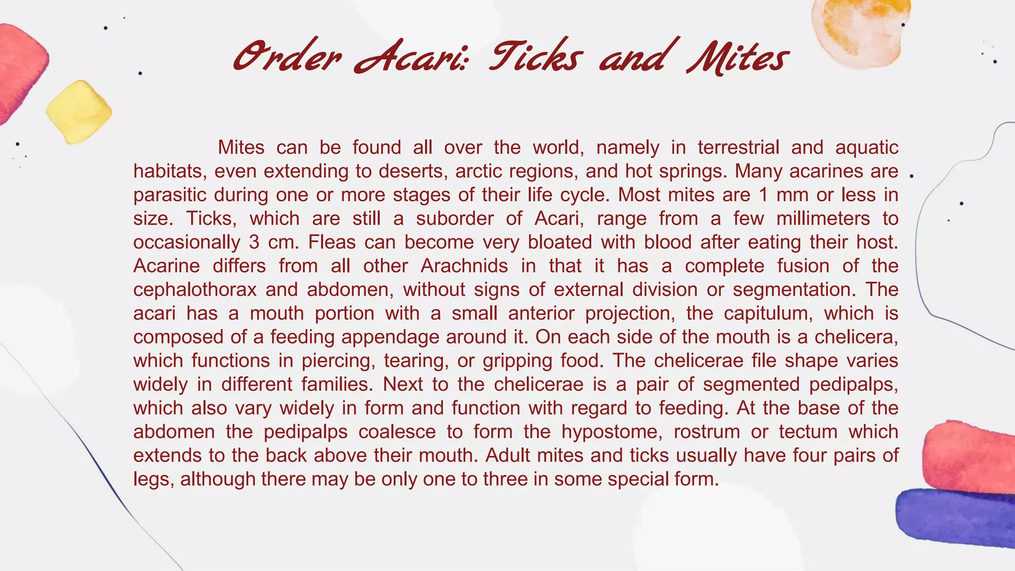 Order Acari: Ticks and Mites
Mites can be found all over the world, namely in terrestrial and aquatic
habitats, even extending to deserts, arctic regions, and hot springs. Many acarines are
parasitic during one or more stages of their life cycle. Most mites are 1 mm or less in
size. Ticks, which are still a suborder of Acari, range from a few millimeters to
occasionally 3 cm. Fleas can become very bloated with blood after eating their host.
Acarine differs from all other Arachnids in that it has a complete fusion of the
cephalothorax and abdomen, without signs of external division or segmentation. The
acari has a mouth portion with a small anterior projection, the capitulum, which is
composed of a feeding appendage around it. On each side of the mouth is a chelicera,
which functions in piercing, tearing, or gripping food. The chelicerae file shape varies
widely in different families. Next to the chelicerae is a pair of segmented pedipalps,
which also vary widely in form and function with regard to feeding. At the base of the
abdomen the pedipalps coalesce to form the hypostome, rostrum or tectum which
extends to the back above their mouth. Adult mites and ticks usually have four pairs of
legs, although there may be only one to three in some special form.
 