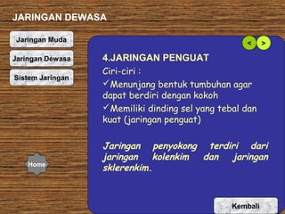 JARINGAN DEWASA
Jaringan Muda
Jaringan Dewasa
Organ Tumbuhan
Sistem Jaringan

Home

<

>

4.JARINGAN PENGUAT
Ciri-ciri :
Menunjang bentuk tumbuhan agar
dapat berdiri dengan kokoh
Memiliki dinding sel yang tebal dan
kuat (jaringan penguat)
Jaringan penyokong terdiri dari
jaringan
kolenkim
dan
jaringan
sklerenkim.

Kembali

 