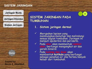 SISTEM JARINGAN
Jaringan Muda
Jaringan Dewasa
Sistem Jaringan

SISTEM JARINGAN PADA
TUMBUHAN
1. Sistem jaringan dermal




Home

Created by:
Nanda A. Almahbub

>



Merupakan lapisan yang
membungkus,menutupi dan melindungi
semua bagian tumbuhan. Jaringan ini
meliputi epidermis dan periderm.
Pada akar akan membentuk rambut
akar, berfungsi mengangkut air dan
garam mineral.
Pada batang dan daun akan
membentuk kutikula yang berfungsi
sebagai penahan air jika terlalu banyak
keluar dari tumbuhan.

 