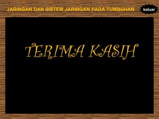 JARINGAN DAN SISTEM JARINGAN PADA TUMBUHAN

TERIMA KASIH

keluar

 