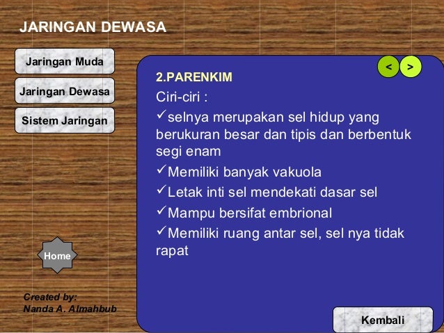 JARINGAN PADA TUMBUHAN