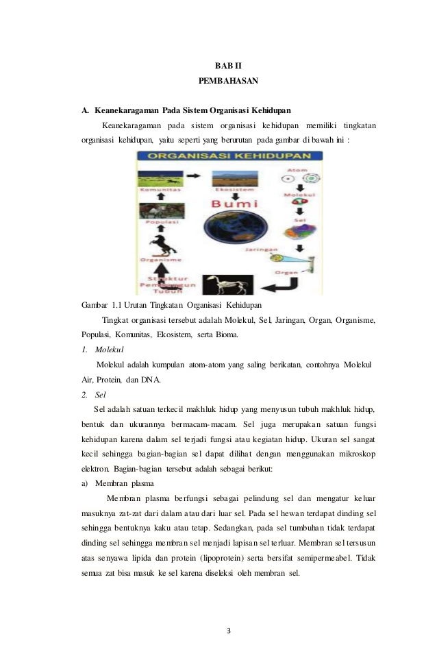 ORGANISASI KEHIDUPAN DAN SALING KETERGANTUNGAN ANTARA 