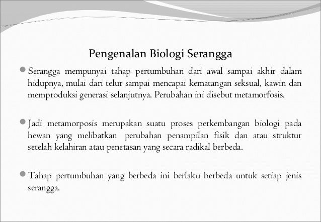 Siklus Hidup Dan Sistem Peredaran Darah Serangga