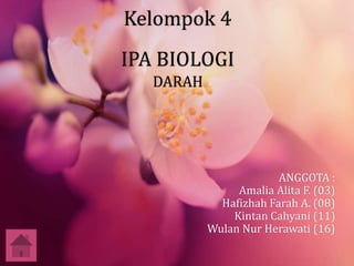 Kelompok 4
IPA BIOLOGI
DARAH
ANGGOTA :
Amalia Alita F. (03)
Hafizhah Farah A. (08)
Kintan Cahyani (11)
Wulan Nur Herawati (16)
 