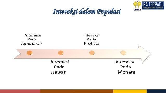 Kel 4 karakteristik statistik populasi dan interaksi dalam 