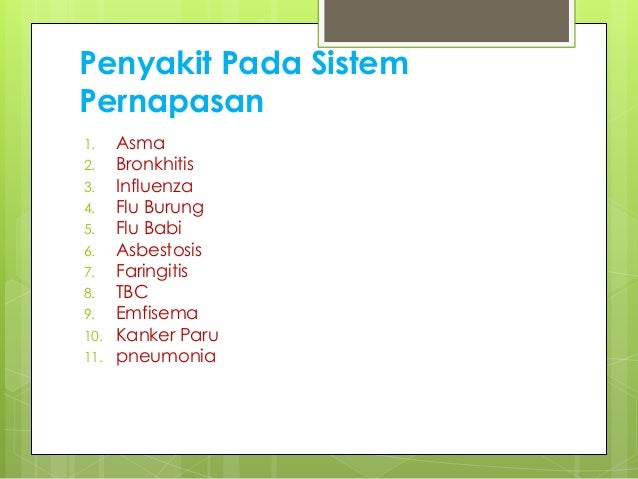 Sistem pernapasan