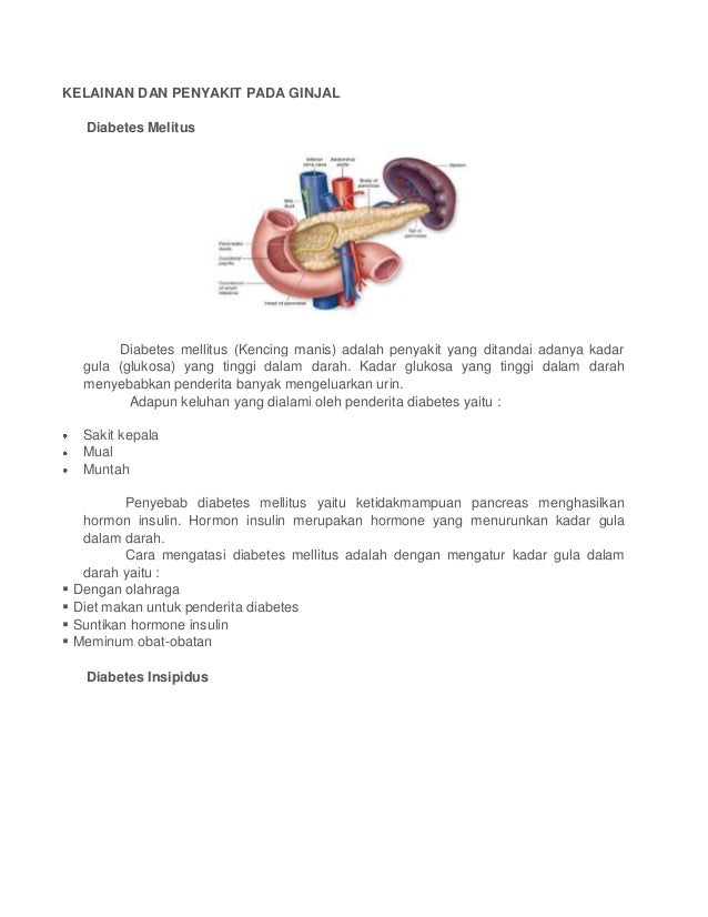 Unduh 900 Koleksi Gambar Ginjal Pada Penderita Diabetes Insipidus Paling Bagus Gratis