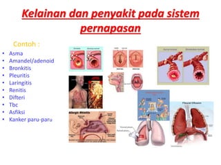 Penyakit Pada Pernapasan - Homecare24