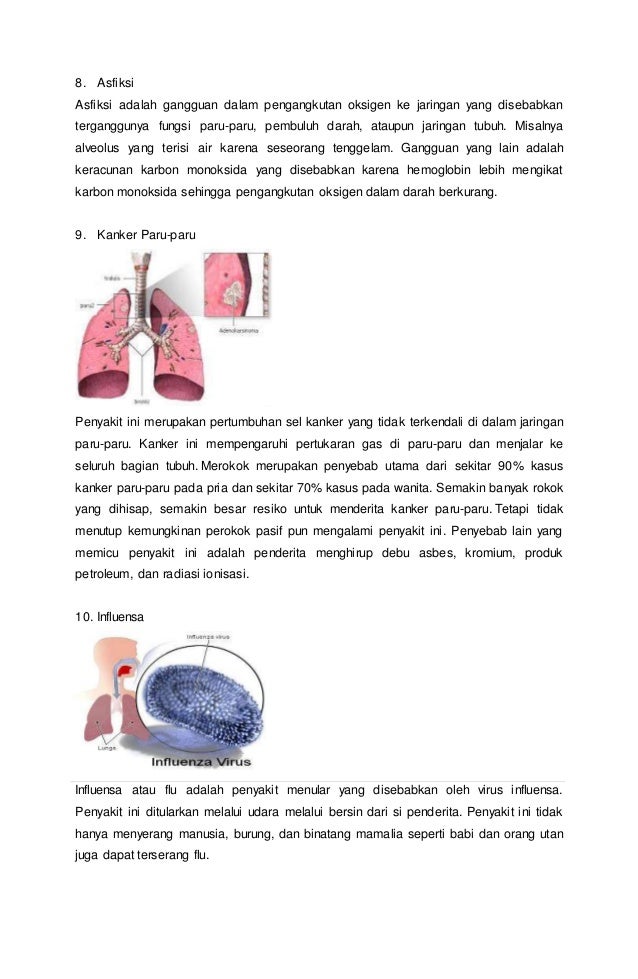 Diabetes Mellitus Penyebab Gejala Dan Pengobatan