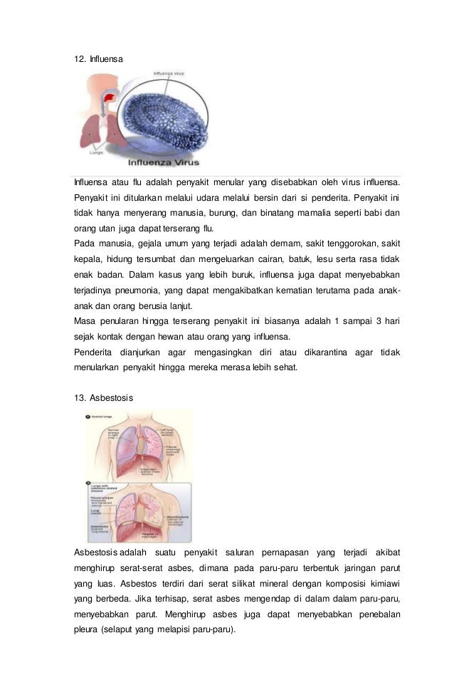 Kelainan dan  penyakit pada sistem pernapasan manusia 2