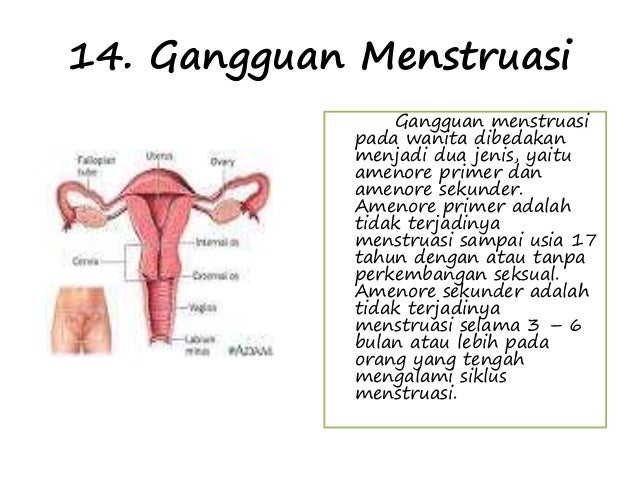 Sebutkan Penyakit Pada Sistem Reproduksi Manusia Sebutkan Dua Penyakit Pada Sistem Reproduksi Yang Disebabkan Oleh Virus