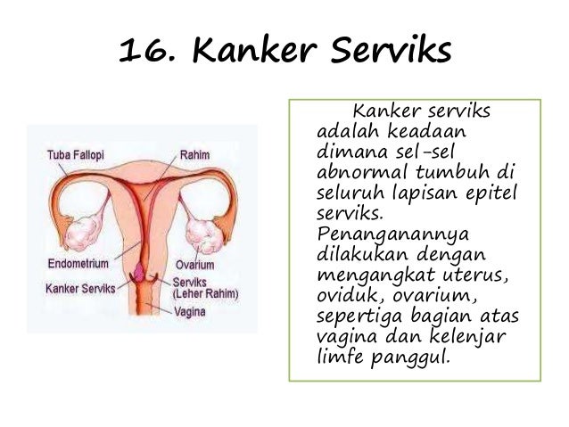 Penyakit pada sistem reproduksi yang disebabkan oleh virus adalah