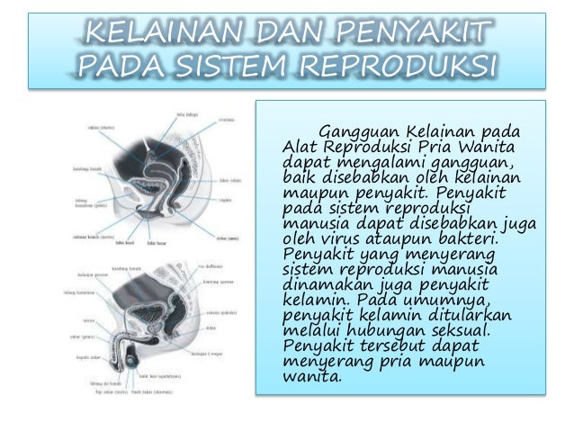 HIPOGONADISME ADALAH PDF