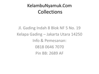KelambuNyamuk.Com
           Collections

 Jl. Gading Indah 8 Blok NF 5 No. 19
Kelapa Gading – Jakarta Utara 14250
          Info & Pemesanan:
            0818 0646 7070
            Pin BB: 2689 AF
 