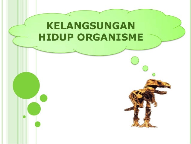 Kelangsungan In English Samirrfg
