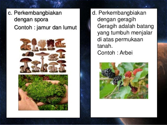 Kelangsungan Hidup Pada Makhluk Hidup dan Adaptasi Kelangsungan Hidup Pada Makhluk Hidup dan Adaptasi