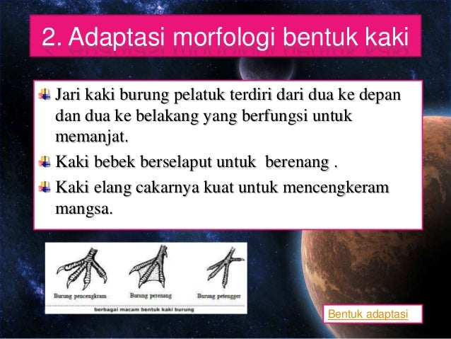 Kelangsungan Hidup Pada Makhluk Hidup Dan Adaptasi