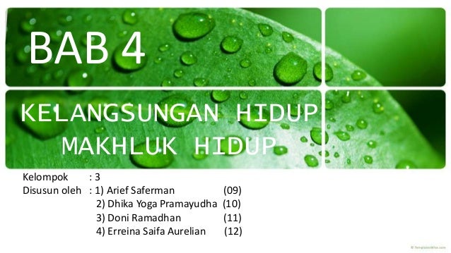 Kelangsungan Hidup Makhluk Hidup