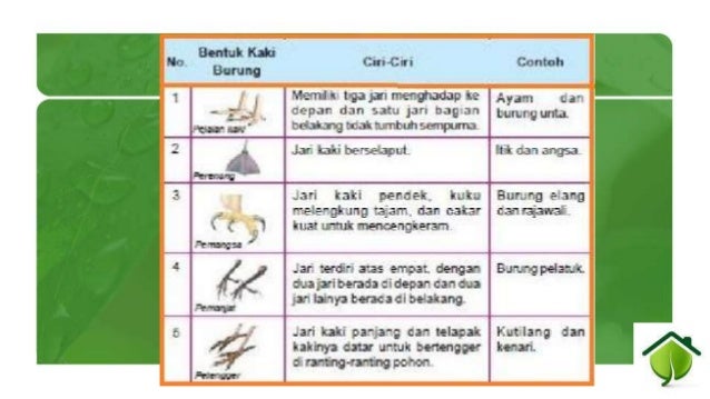 Kelangsungan hidup makhluk hidup