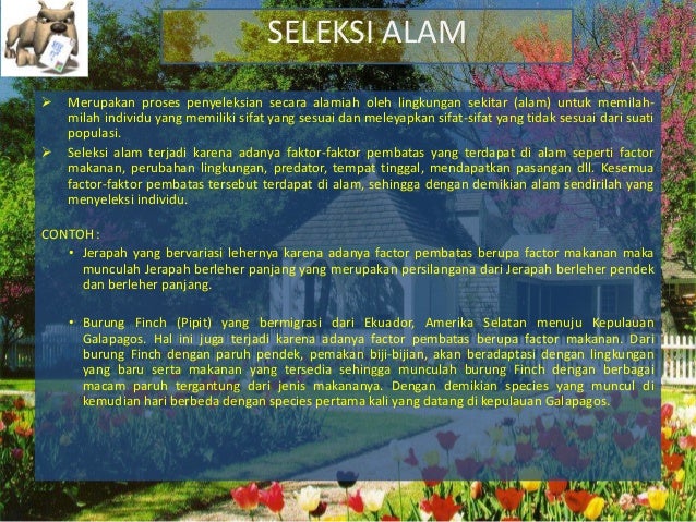 Kelangsungan Hidup Organisme