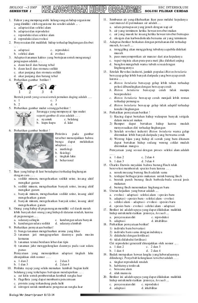 Kelangsungan Hidup Organisme