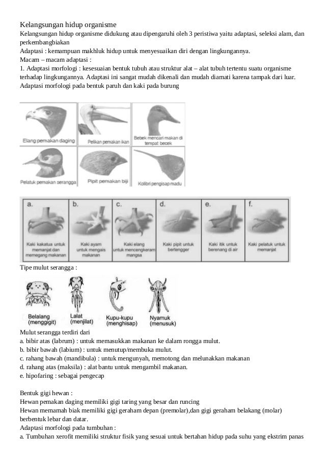 Kelangsungan Hidup Organisme