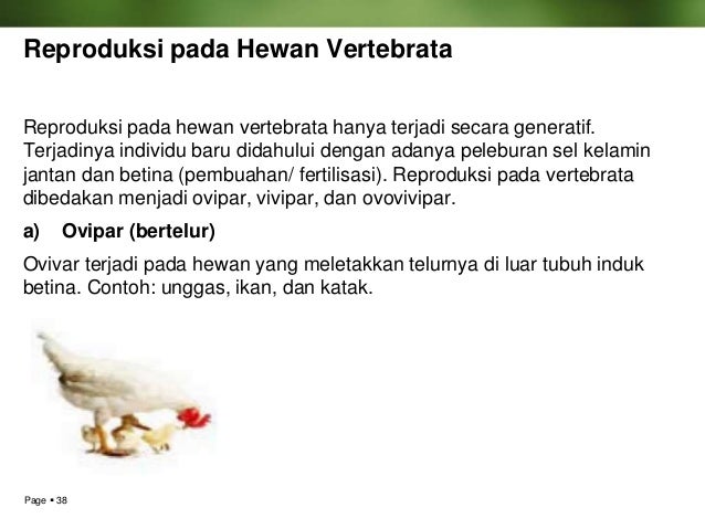 Kelangsungan hidup organisme Kelangsungan hidup organisme