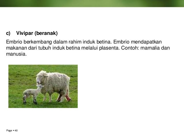 Kelangsungan hidup organisme Kelangsungan hidup organisme