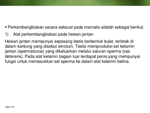 Kelangsungan hidup organisme