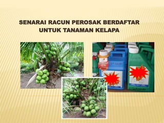 SISTEM MAKLUMAT RACUN PEROSAK KELAPA 2019.pptx