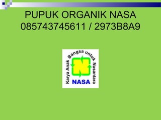 PUPUK ORGANIK NASA
085743745611 / 2973B8A9
 