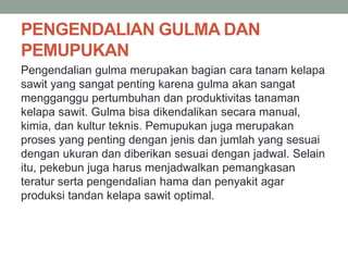 PENGENDALIAN GULMA DAN
PEMUPUKAN
Pengendalian gulma merupakan bagian cara tanam kelapa
sawit yang sangat penting karena gulma akan sangat
mengganggu pertumbuhan dan produktivitas tanaman
kelapa sawit. Gulma bisa dikendalikan secara manual,
kimia, dan kultur teknis. Pemupukan juga merupakan
proses yang penting dengan jenis dan jumlah yang sesuai
dengan ukuran dan diberikan sesuai dengan jadwal. Selain
itu, pekebun juga harus menjadwalkan pemangkasan
teratur serta pengendalian hama dan penyakit agar
produksi tandan kelapa sawit optimal.
 