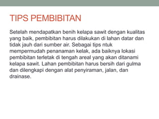 TIPS PEMBIBITAN
Setelah mendapatkan benih kelapa sawit dengan kualitas
yang baik, pembibitan harus dilakukan di lahan datar dan
tidak jauh dari sumber air. Sebagai tips ntuk
mempermudah penanaman kelak, ada baiknya lokasi
pembibitan terletak di tengah areal yang akan ditanami
kelapa sawit. Lahan pembibitan harus bersih dari gulma
dan dilengkapi dengan alat penyiraman, jalan, dan
drainase.
 