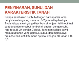 PENYINARAN, SUHU, DAN
KARAKTERISTIK TANAH
Kelapa sawit akan tumbuh dengan baik apabila lama
penyinaran langsung matahari 1-7 jam setiap harinya.
Buah kelapa sawit yang dihasilkan akan jauh lebih optimal
saat tanaman tersebut tumbuh di daerah dengan suhu
rata-rata 25-27 derajat Celcius. Tanaman kelapa sawit
menuntut tanah yang gembur, subur, dan mempunyai
drainase baik untuk tumbuh optimal dengan pH tanah 4,0-
6,5.
 
