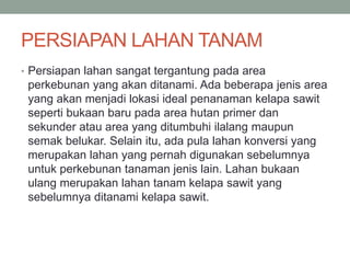 PERSIAPAN LAHAN TANAM
• Persiapan lahan sangat tergantung pada area
perkebunan yang akan ditanami. Ada beberapa jenis area
yang akan menjadi lokasi ideal penanaman kelapa sawit
seperti bukaan baru pada area hutan primer dan
sekunder atau area yang ditumbuhi ilalang maupun
semak belukar. Selain itu, ada pula lahan konversi yang
merupakan lahan yang pernah digunakan sebelumnya
untuk perkebunan tanaman jenis lain. Lahan bukaan
ulang merupakan lahan tanam kelapa sawit yang
sebelumnya ditanami kelapa sawit.
 